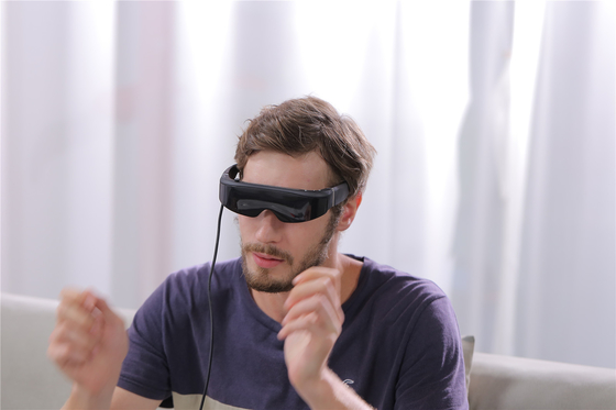 맞춤형 3D VR 현실 안경 1080P 43도 FOV 헤드 마운트 디스플레이